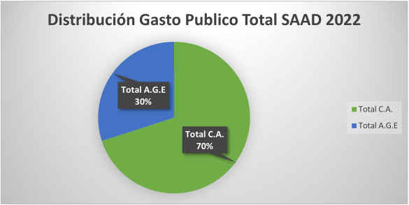 Grafico sobre el gasto total en SADD en Castilla y León en el 2022